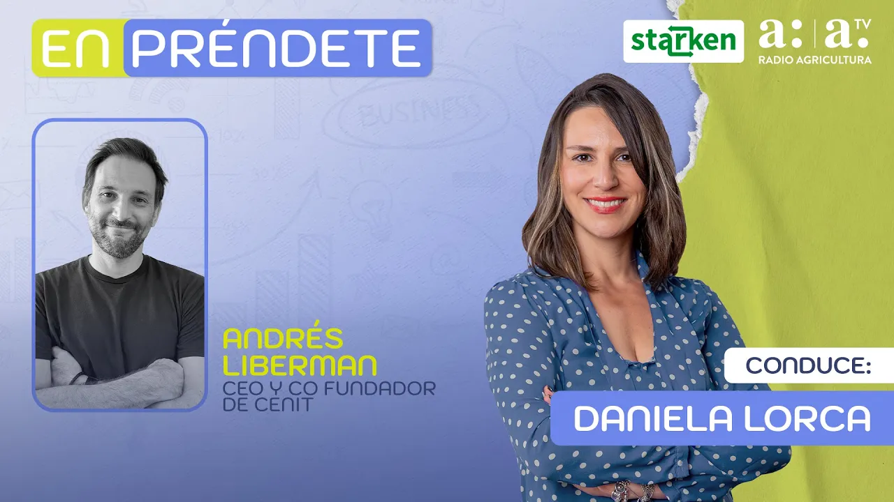 Pymes Y El Sii Esa Relación Dolorosa