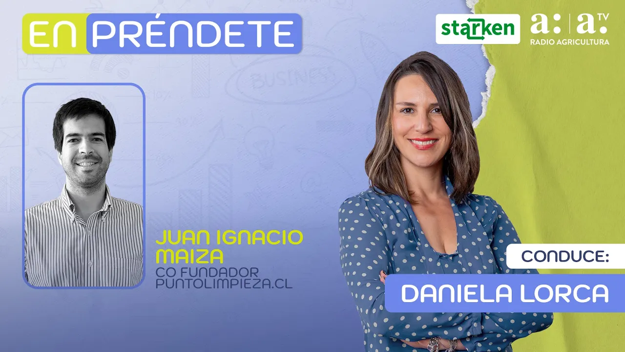 Limpieza Profunda Online